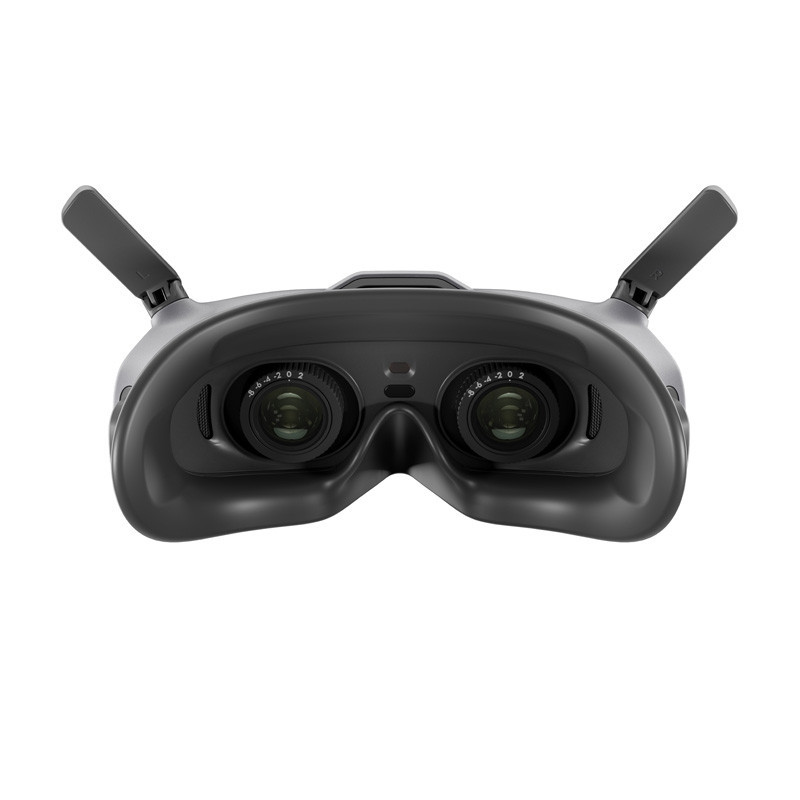 DJI Goggles 2 Motion Combo (DJI RC Motion 2)